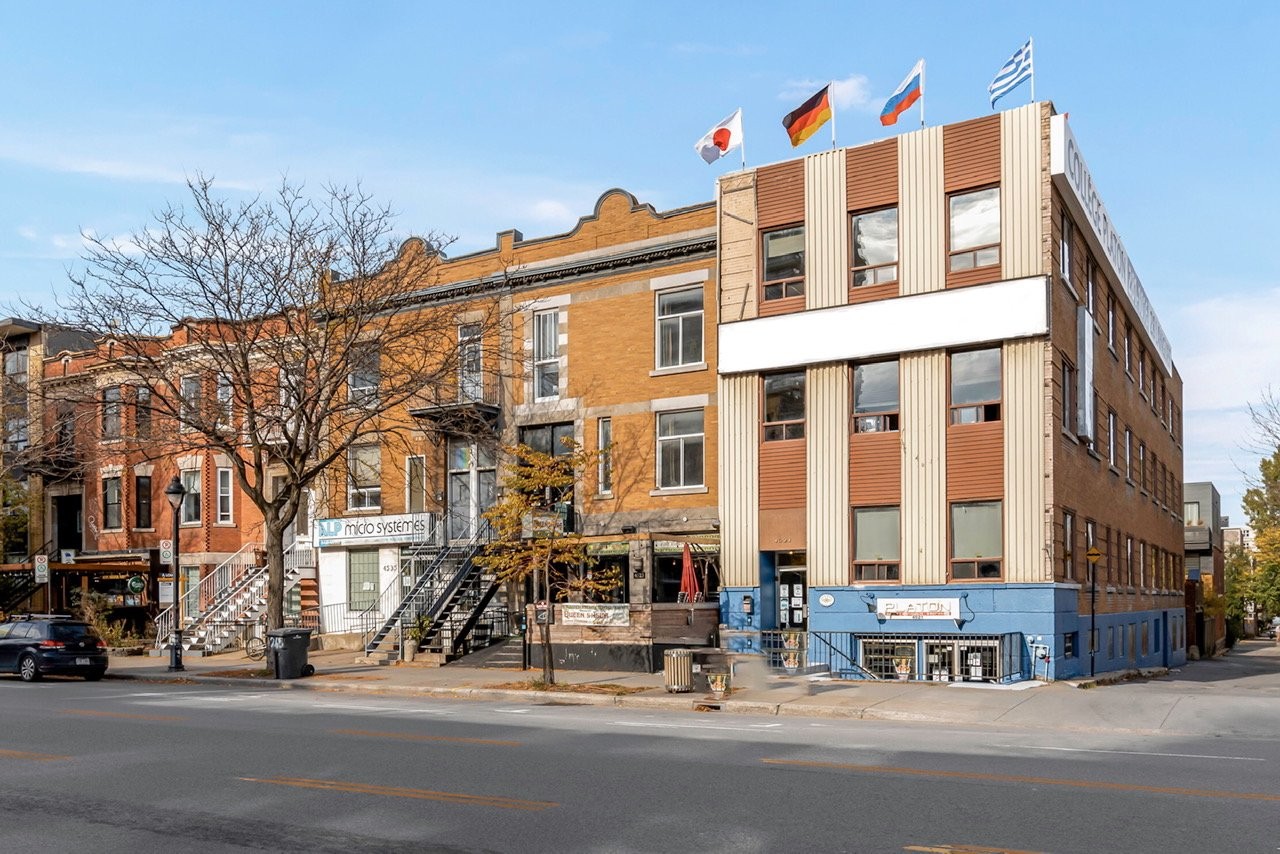 M Immobilier Montreal's Premier Real Estate Agency M Real Estate