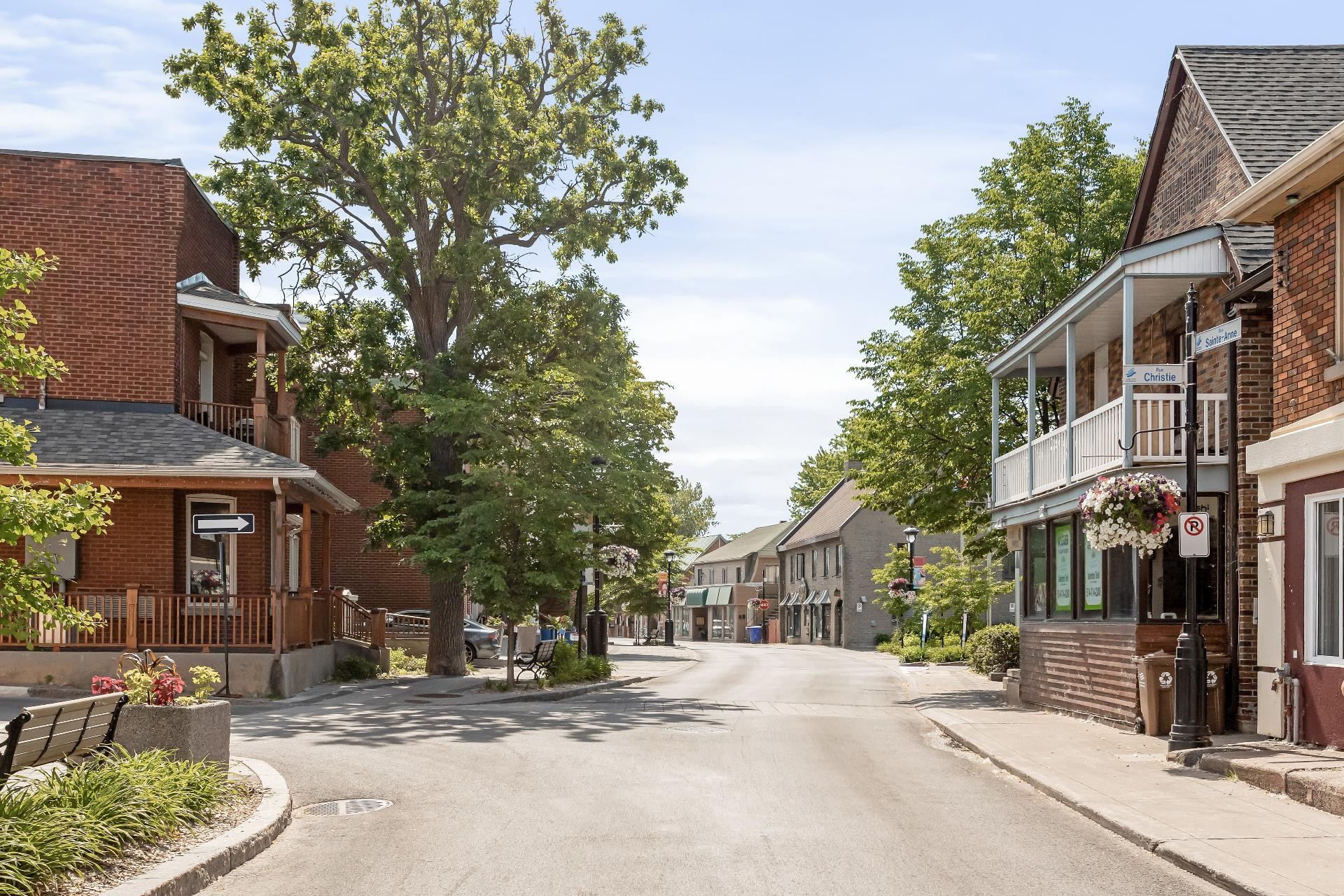 M Immobilier Montreal's Premier Real Estate Agency M Real Estate