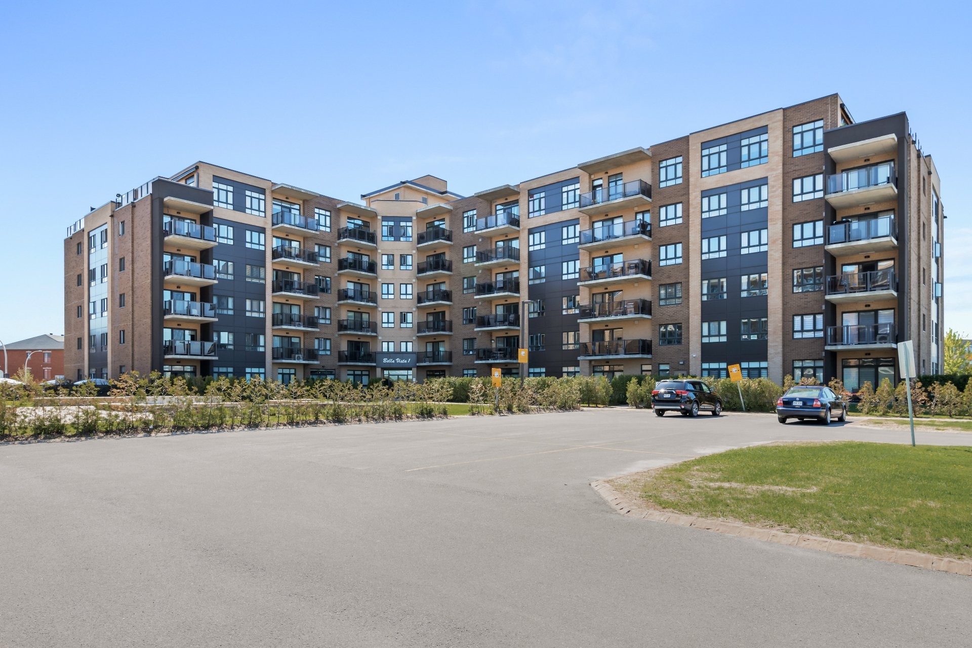 M Immobilier Montreal's Premier Real Estate Agency M Real Estate