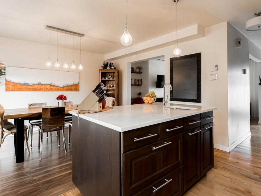 394 Rue Pierre-Boileau Photo 8