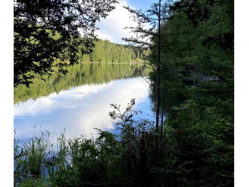 Ch. du Lac-Bethlen Photo 1