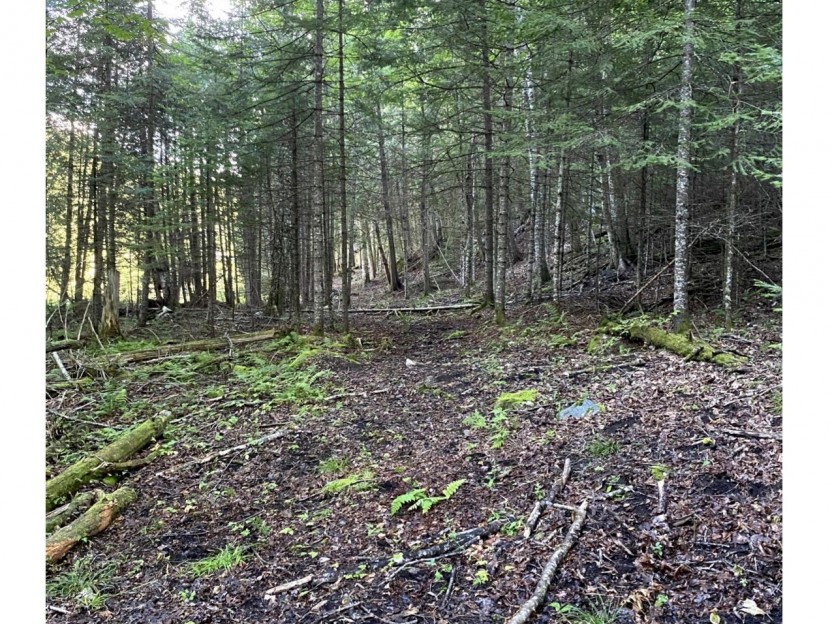 Ch. du Lac-Bethlen Photo 3