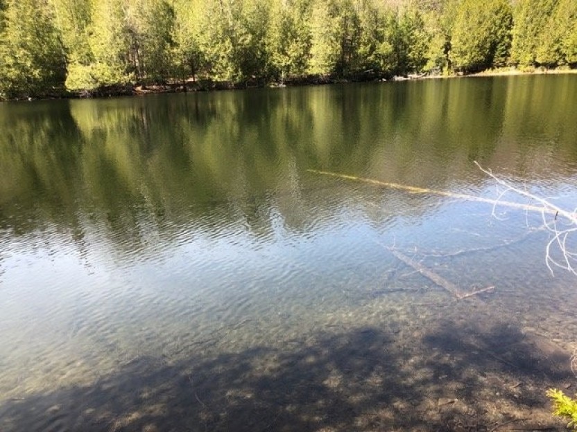 Ch. du Lac-Bethlen Photo 4