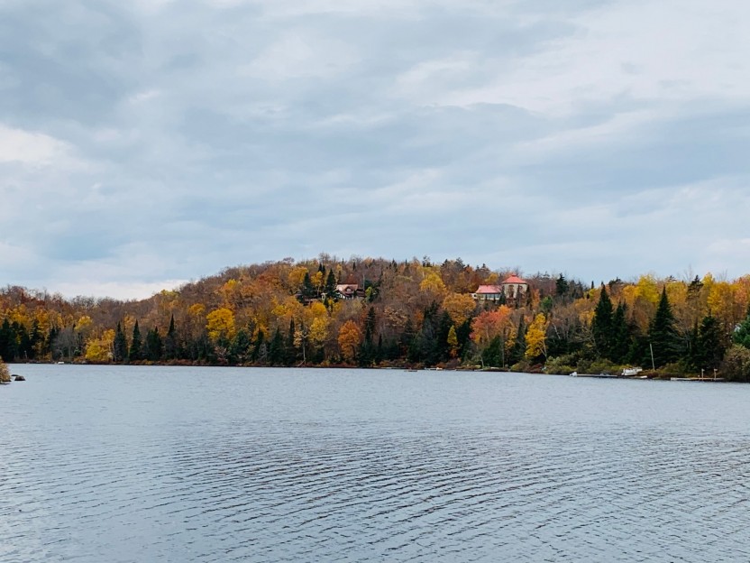 Ch. Lakeshore Photo 1