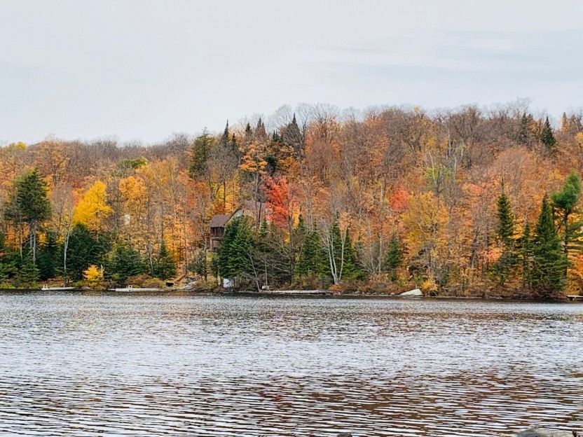 Ch. Lakeshore Photo 3
