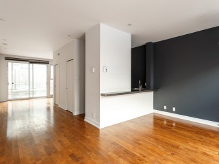 4878 Av. Henri-Julien Photo 5