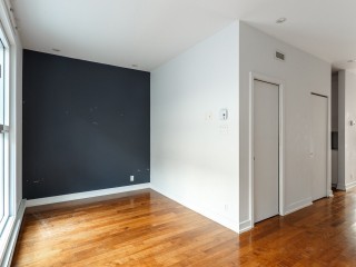4878 Av. Henri-Julien Photo 8