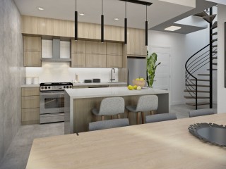 730 Rue Rose-de-Lima Photo 10