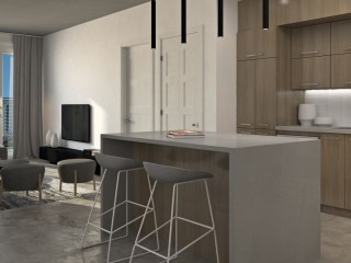 730 Rue Rose-de-Lima Photo 4