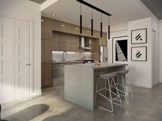 730 Rue Rose-de-Lima Photo 4