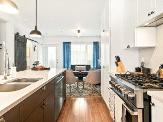 77Z Rue Provost Photo 3
