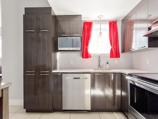6042 Rue Tousignan Photo 7