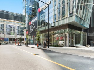 1050 Rue Drummond Photo 2